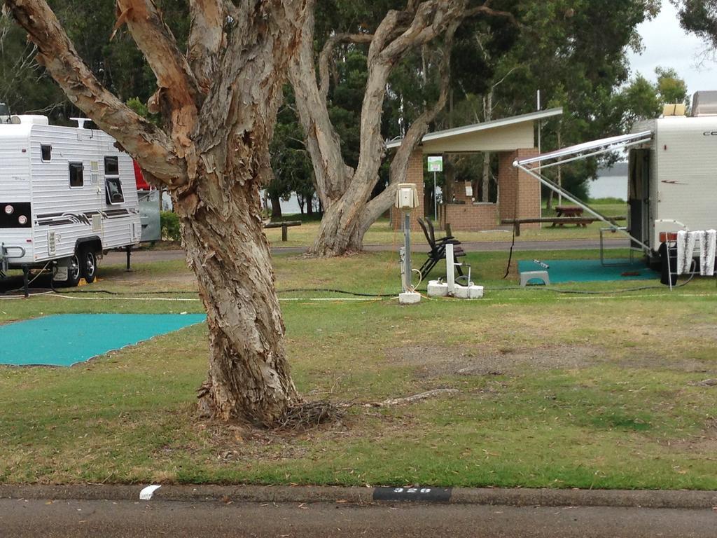 Budgewoi Holiday Park Esterno foto
